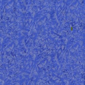 Fairy Frost, Hyacinth